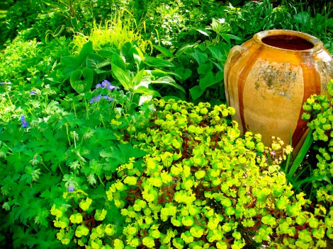 Urn and Euphorbia