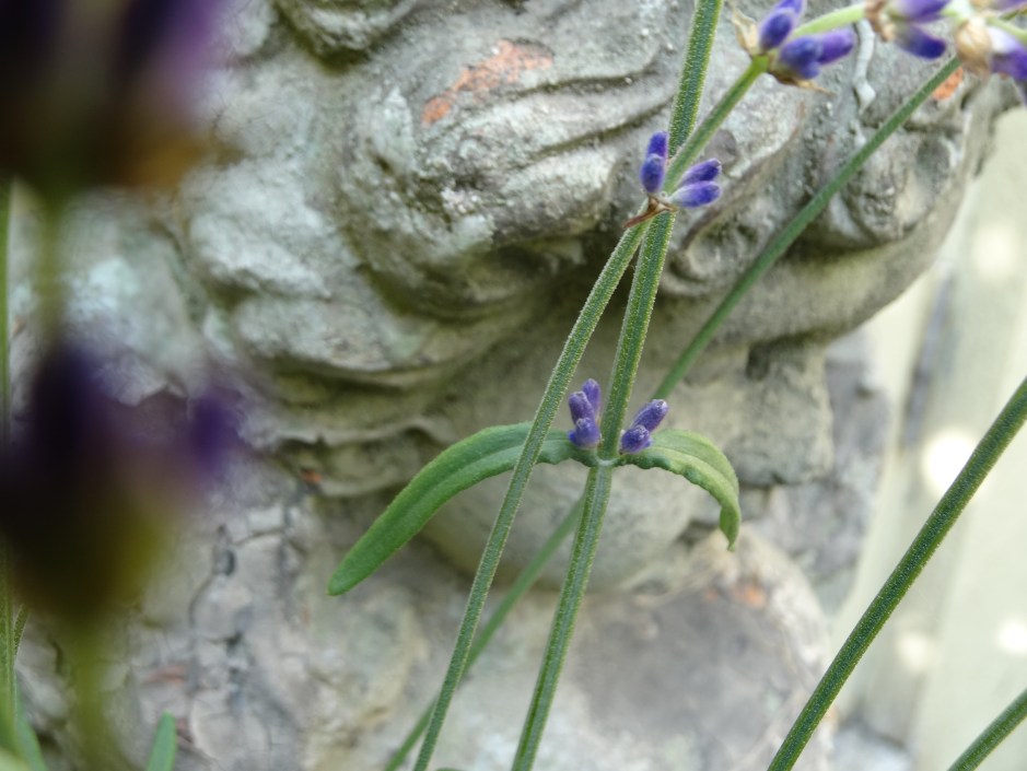 Antique stone sculpture, Jardin.