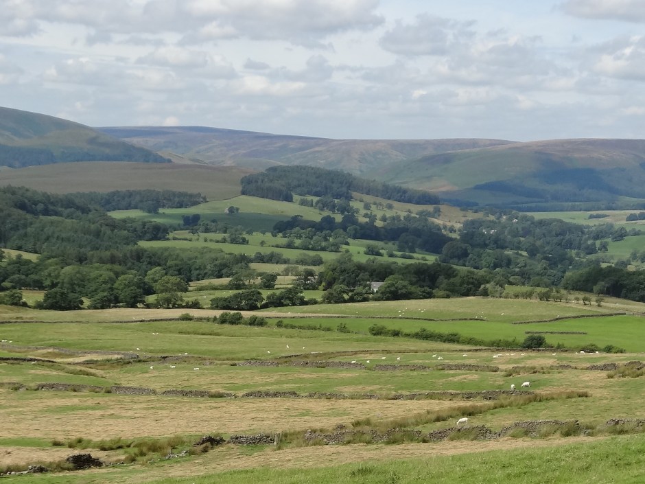 Bowland Aug 2013 060