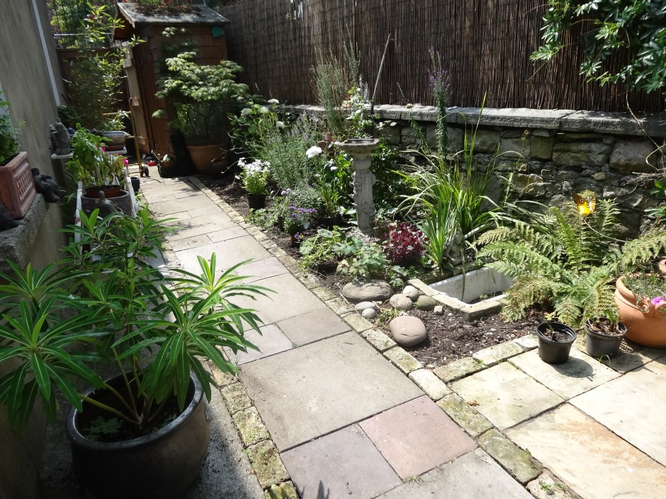 Gardens Aug 2013 001