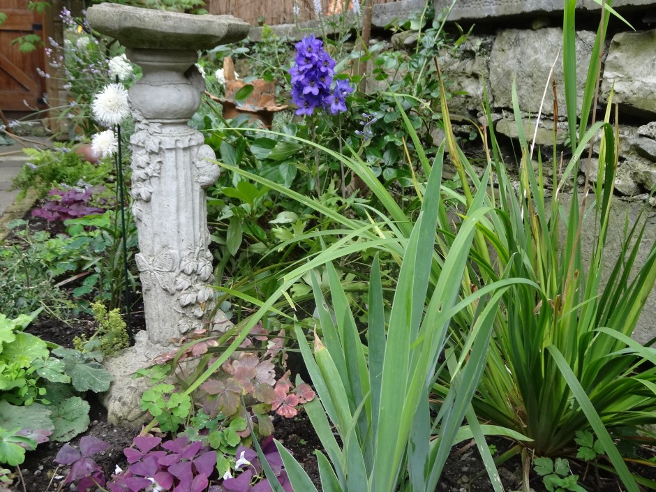 Gardens Aug 2013 022