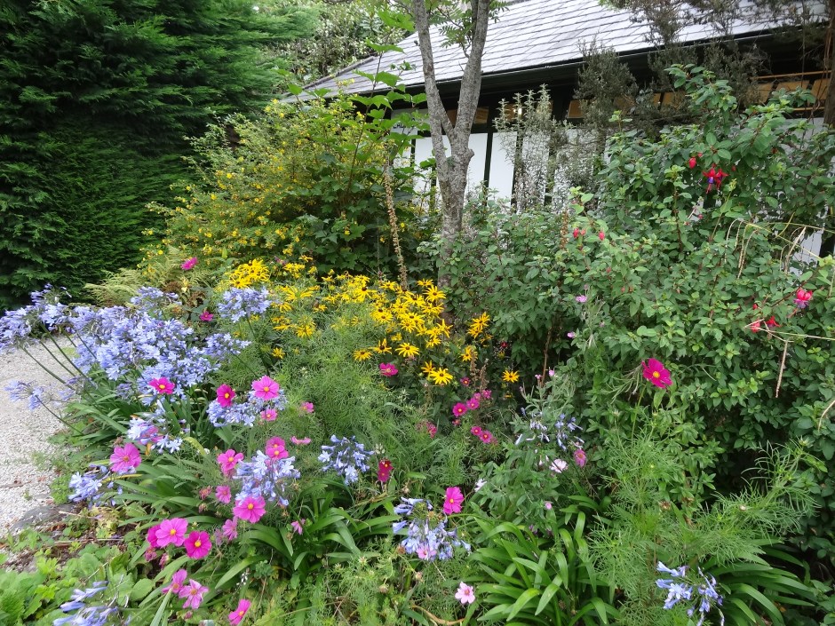 Mount Usher Aug 2013 017