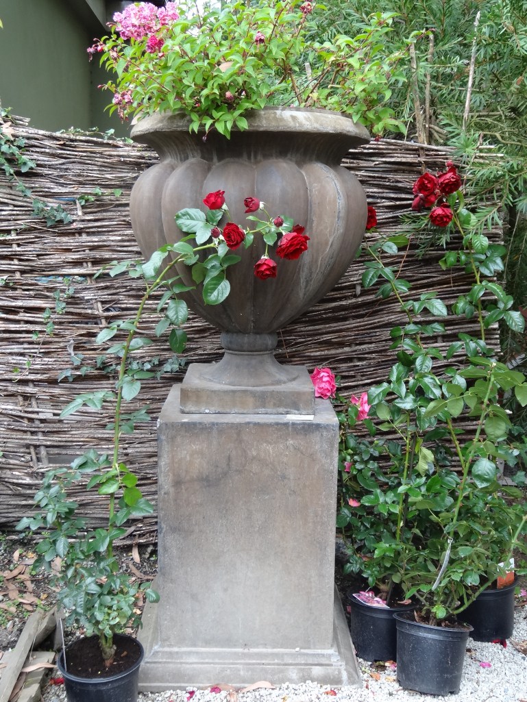 Mount Usher Aug 2013 028