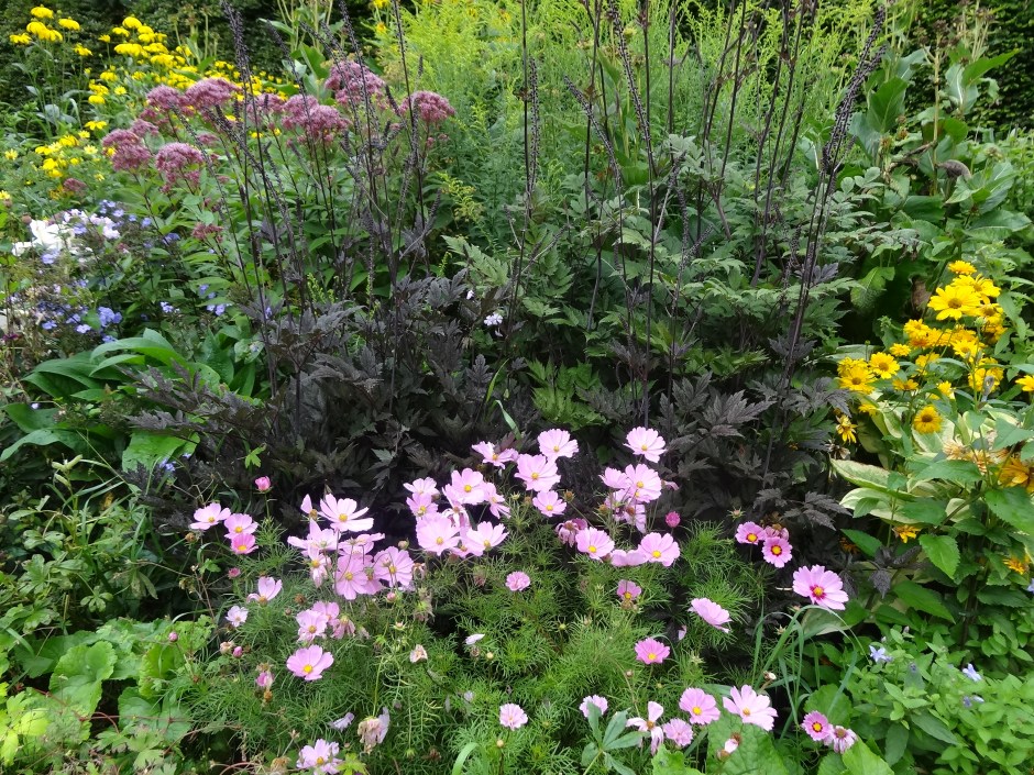 Mount Usher Aug 2013 036