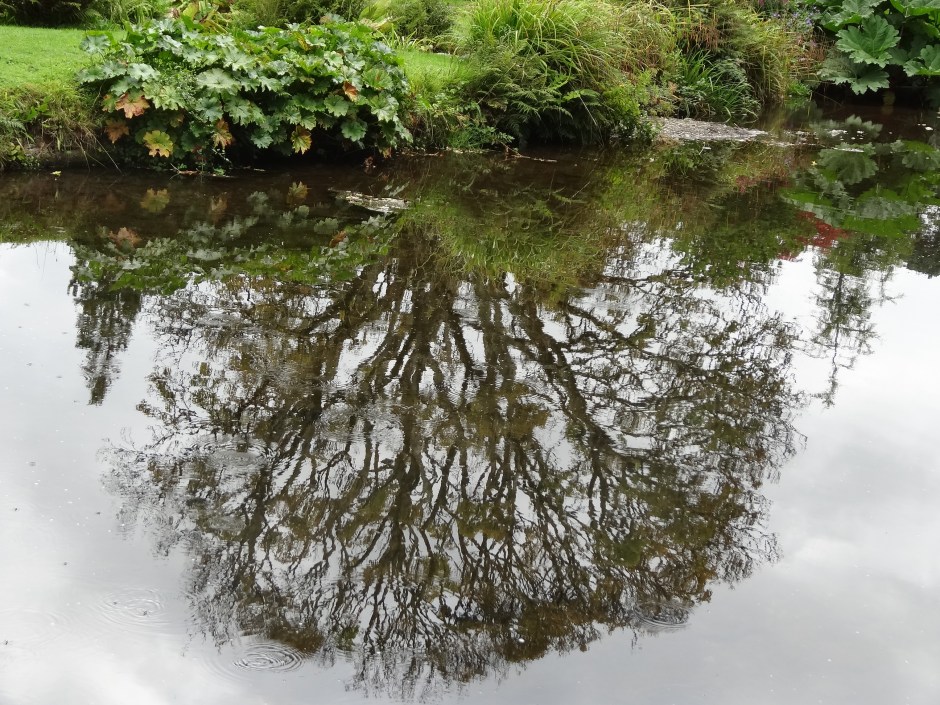 Mount Usher Aug 2013 088