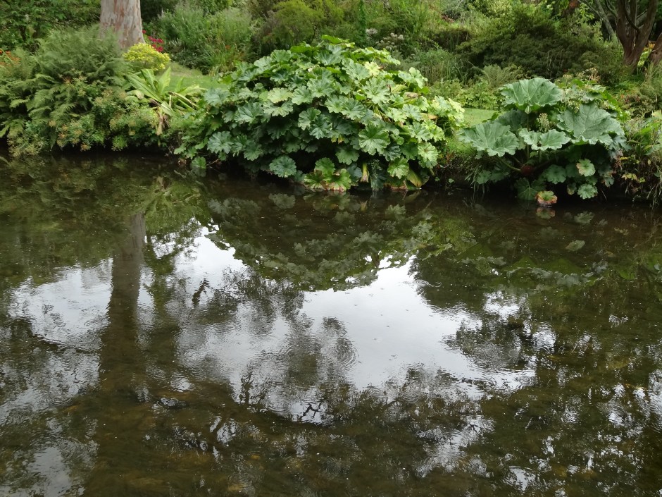 Mount Usher Aug 2013 090