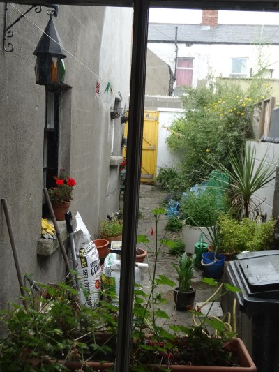 BEFORE : unused and unloved space behind a terraced house.