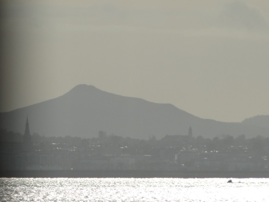 Looking south towards the city