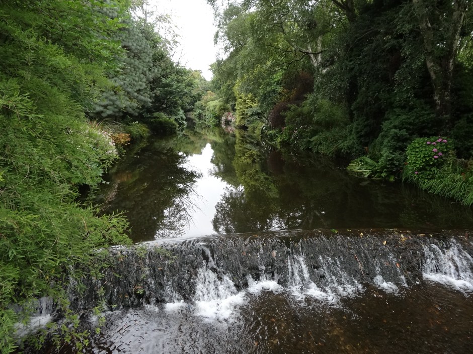 Mount Usher Aug 2013 045