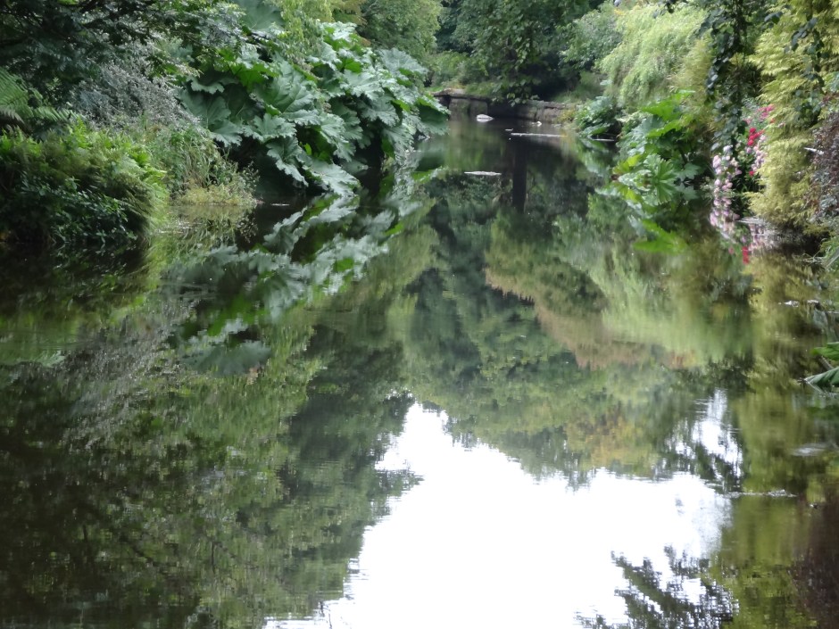 Mount Usher Aug 2013 049