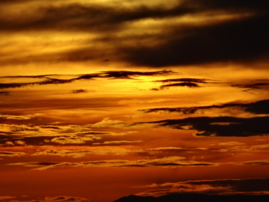 Southern Africa 2012 1426