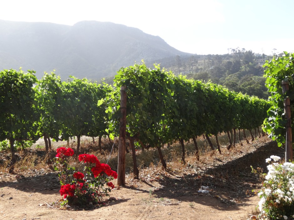 Southern Africa 2012 168