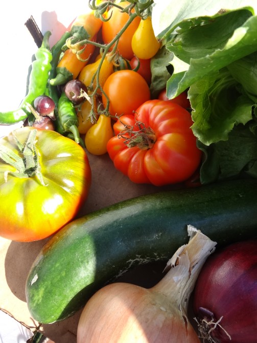 Dublin Community Growers