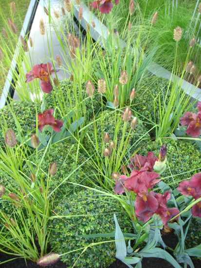 Deep red looks more subtle, here mixed with grasses.