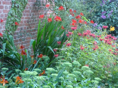 Sedum specatabile 'Autumn Joy' with  Monarda and Crocosmia 'Lucifer'