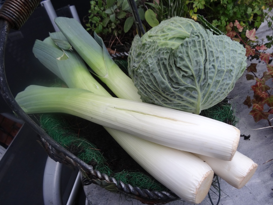Winter veg : cabbage and leeks