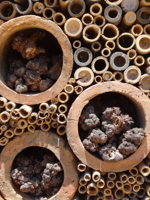 Insect hotel