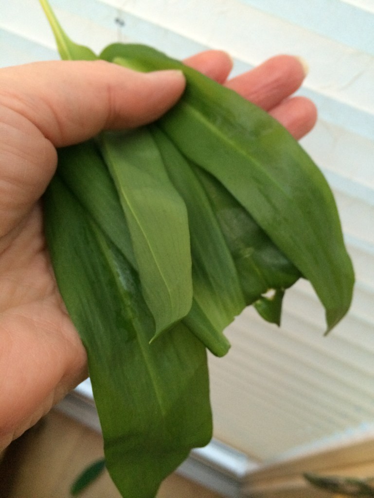 Iphone March 2014 Brussels & Dublin 059