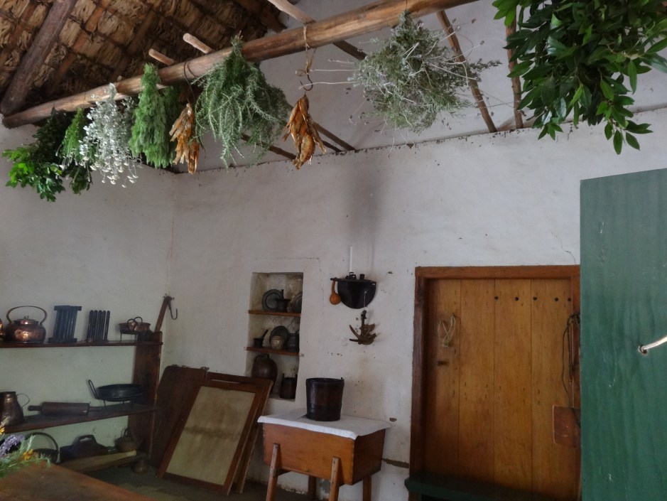 Southern Africa 2012 239