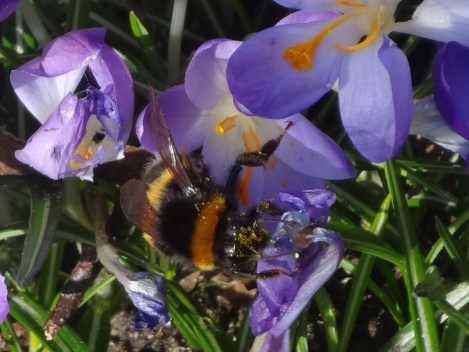 Inspiration for a ...