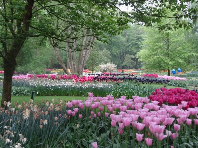 Keukenhof 032
