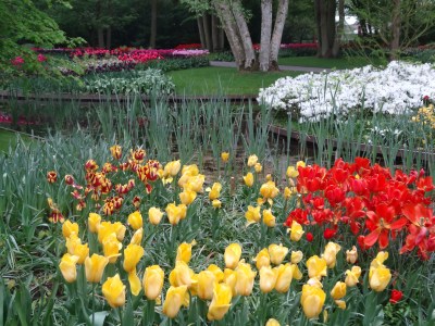 Keukenhof 040