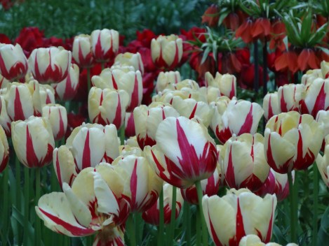 Single late 'World Expression'