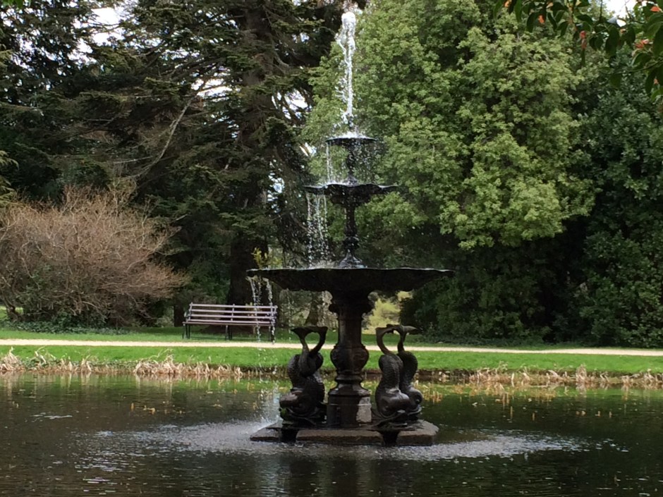 Photos from Iphone May 2014 231