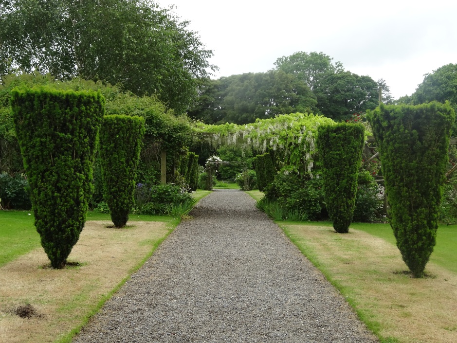 Burtown House, the Yew garden