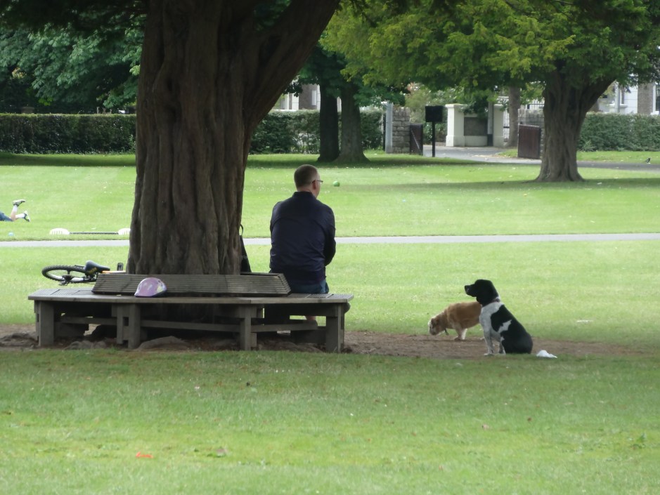 Dublin Rose Festival 2014 103