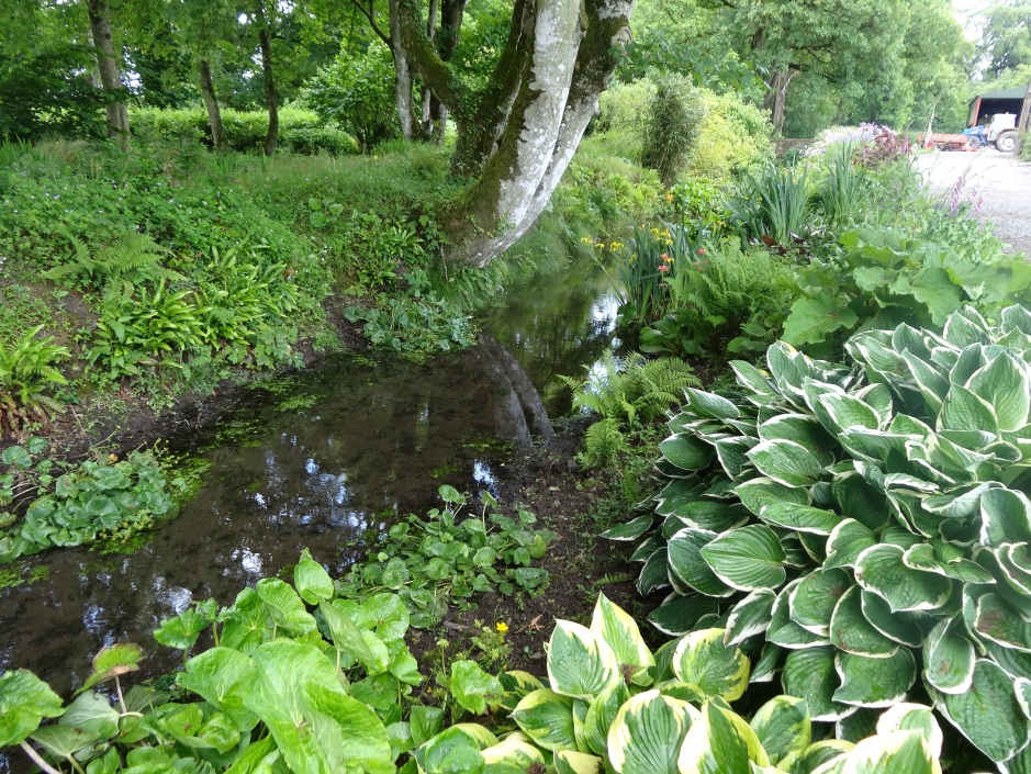 The Stream garden, Burtown House