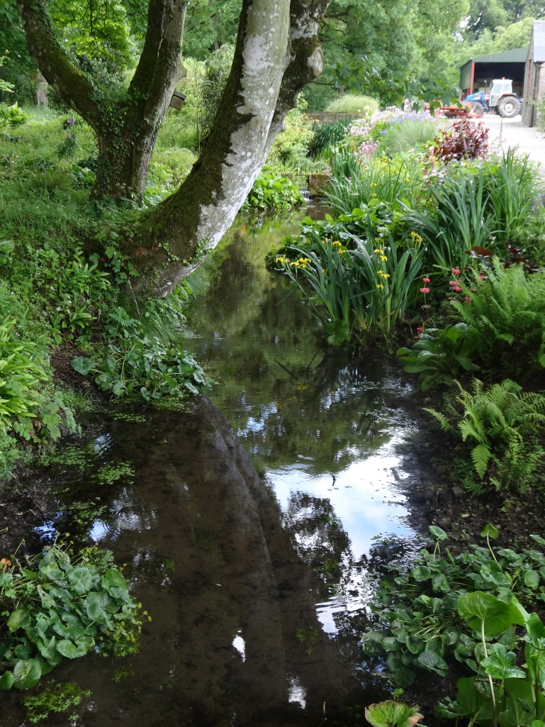 The stream garden, Burtown House