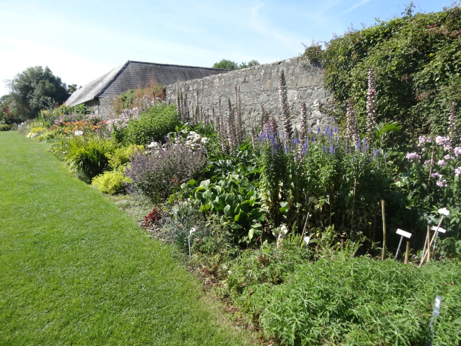 The herbaceous border