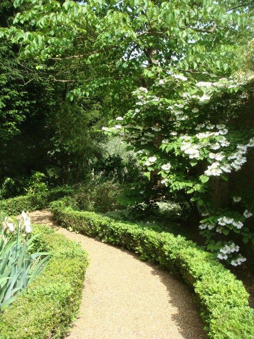 A serpentine path