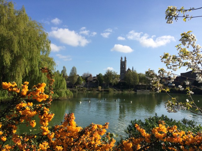 St Joseph's Church seen from Blessington Street Basin park.