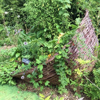 Gluttony represented by "greedy feeders"