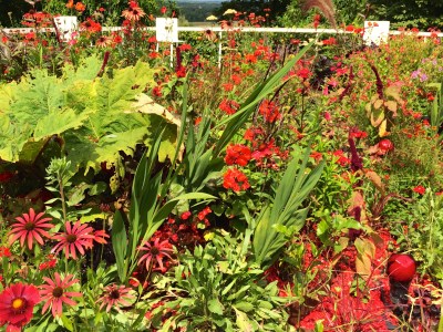 Contemplating one's sins in an overabundance of red