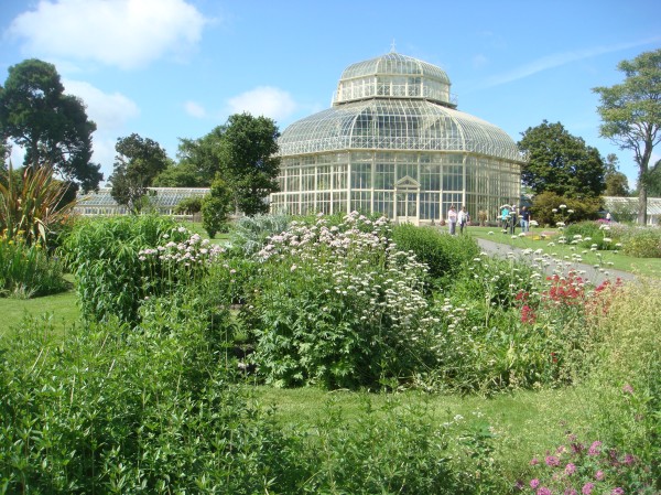 The National Botanic Garden, Kilmainham.