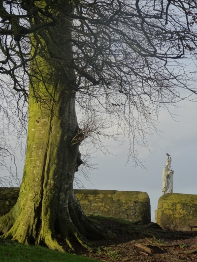 St Patrick's statue on the Hill of Tara.