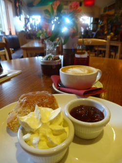 Coffee, scone and homemade rhubarb jam at "Maguires".