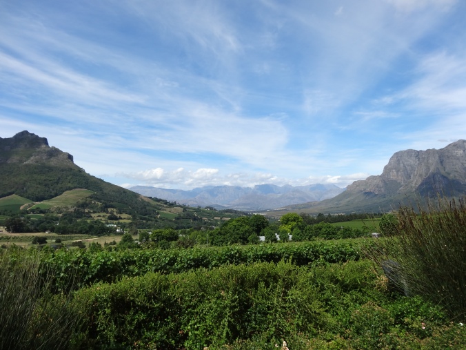 The stunning beauty of the Cape wine region.