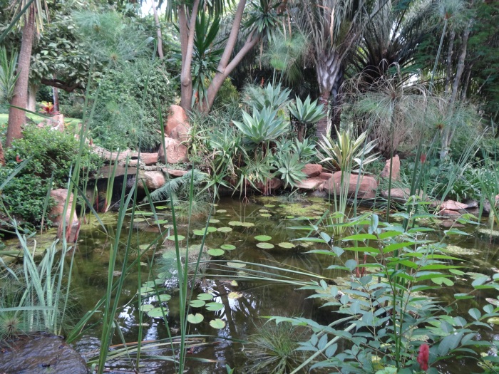 The beautifully landscaped pond 