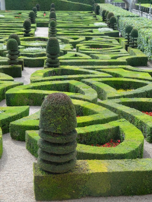 Stunningly clipped topiary