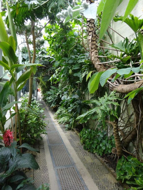 Exploring the glasshouses, Oxford