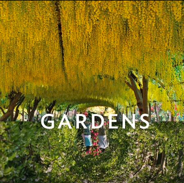 Reflections : Gardens. Roads Publishing