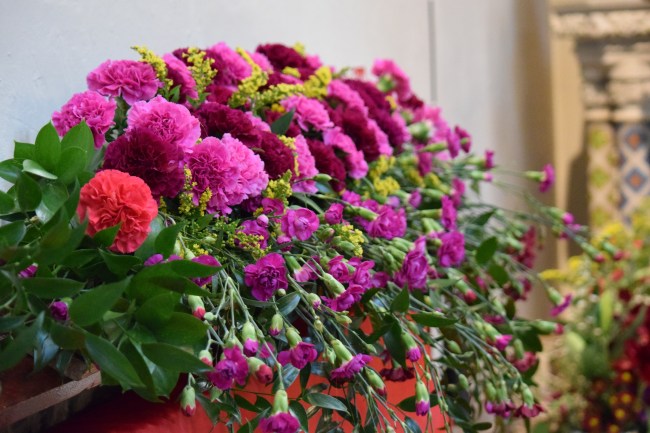 Dublin Flower Festival