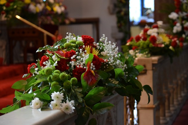 A Dublin Flower Festival