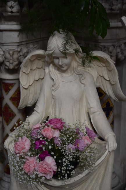 Dublin Flower Festival