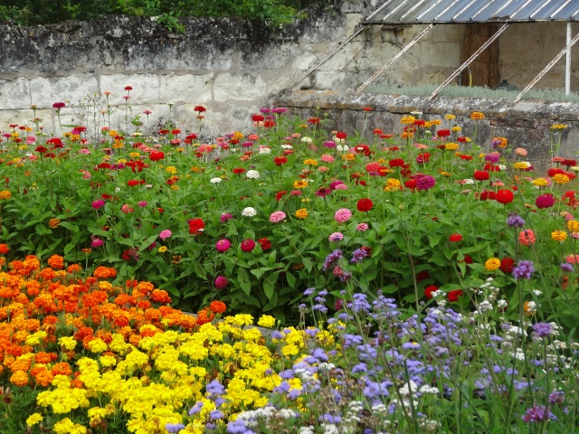 A colourful corner of the kitchen garden, Chenonceau.