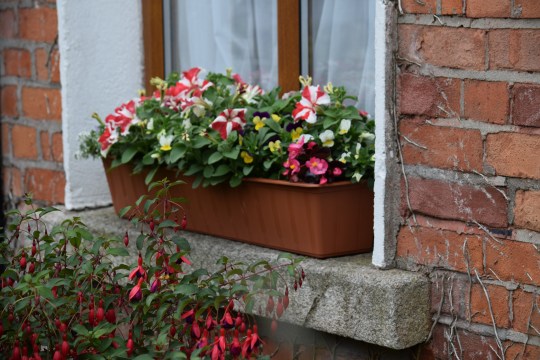 Greening the inner city